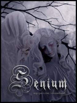 Senium (PR) : The Silence of the Storm